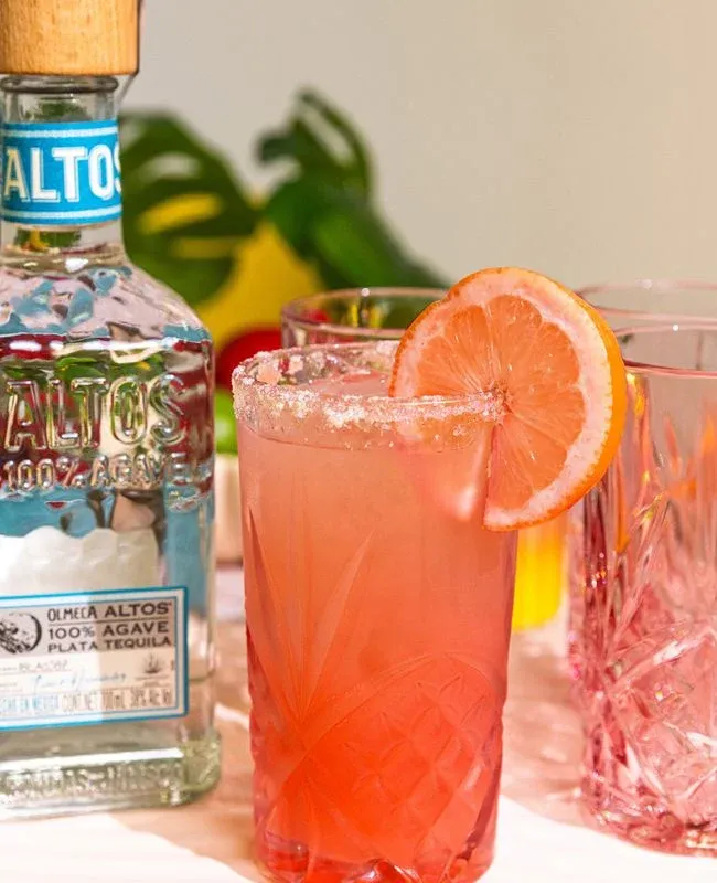 Paloma Premium