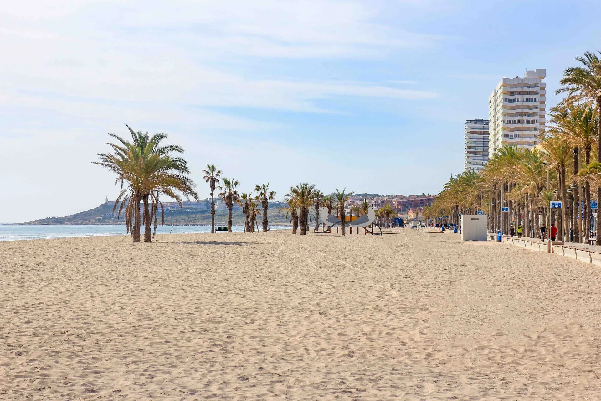 Пальмы и песок вдоль проспекта Playa de San Juan
